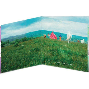 Collector Triple Ecovinyl LP