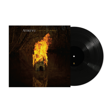 Limited Edition LP
