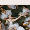 Tutu White LP