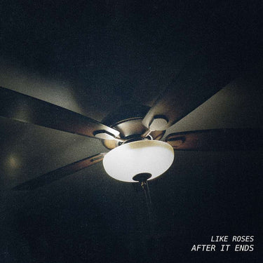 Like Roses - After It Ends