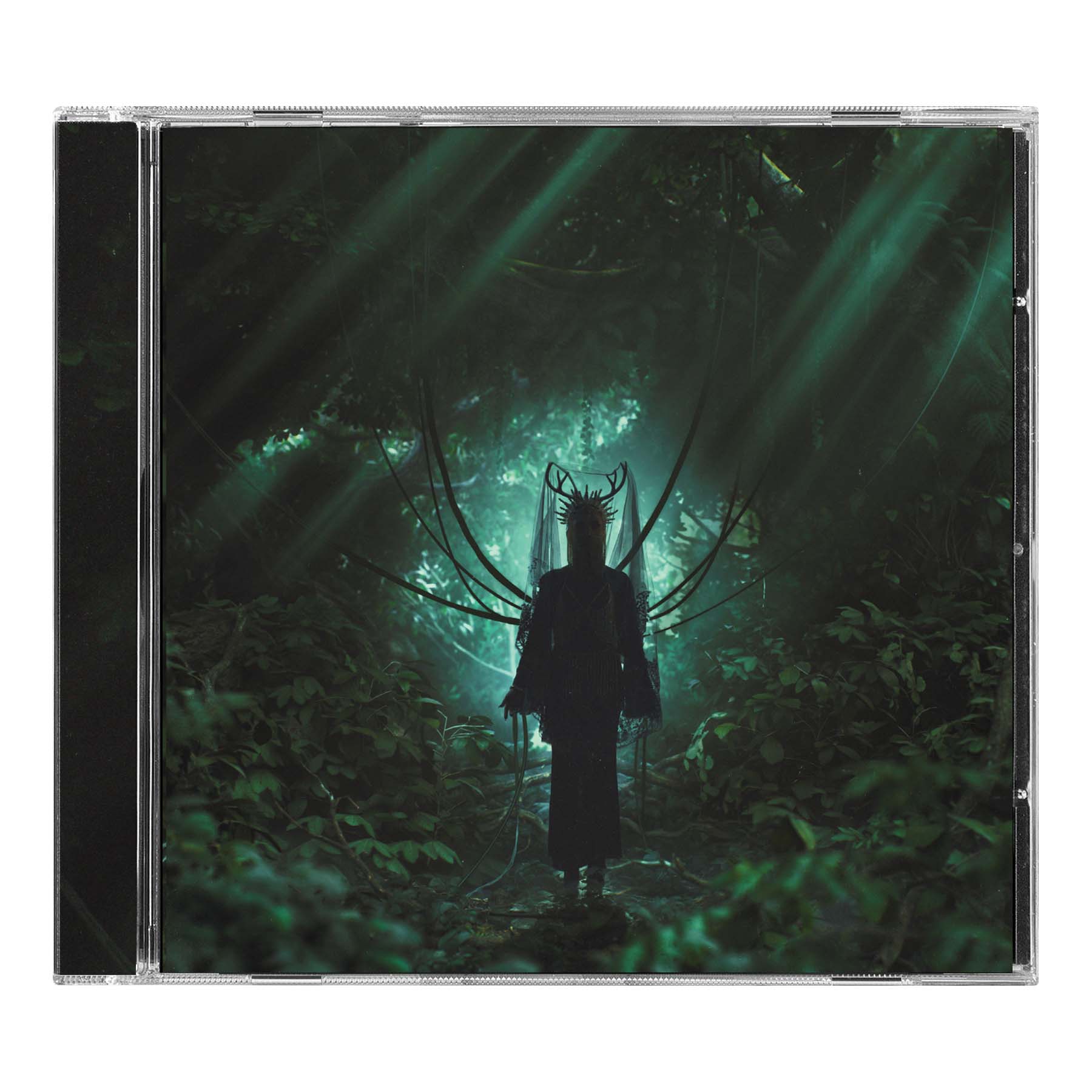 Glasswaves - While(true)