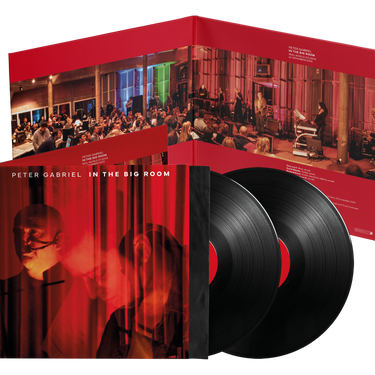 Peter Gabriel - In The Big Room
