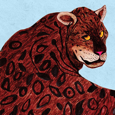 CS Cleaners - What's This?