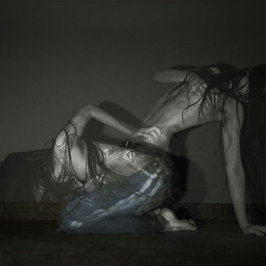 Sofia Isella - Something Is A Shell .
