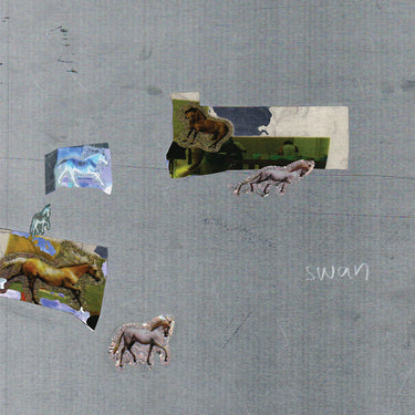 FAZED ON A PONY - SWAN
