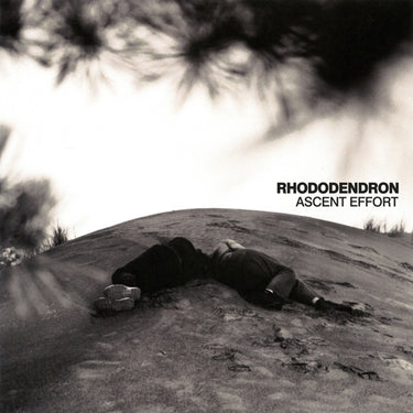 Rhododendron - Ascent Effort