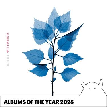 Matt Berninger - Get Sunk