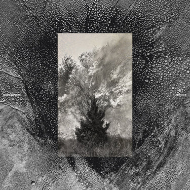 Superpoze - Siécle