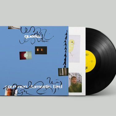 Guests - Common Domestic Bird