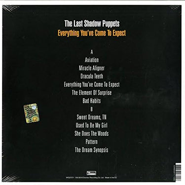 The Last Shadow Puppets - Everything You've Come To Expect