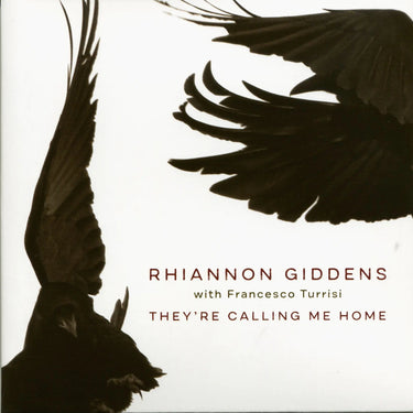 Rhiannon Giddens - They're Calling Me Home