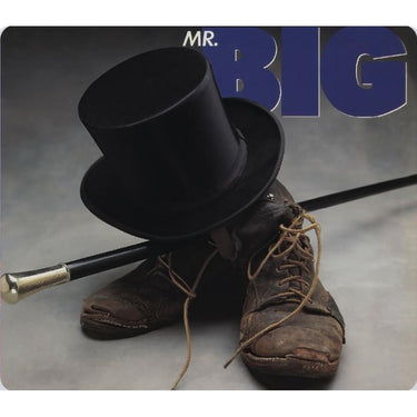 Mr. Big