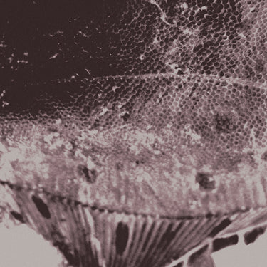 Mark IJzerman - Flounder Maps