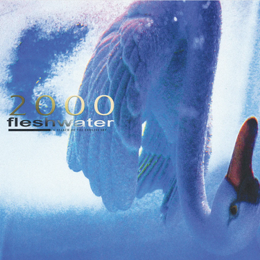 Fleshwater - 2000: In Search of the Endless Sky