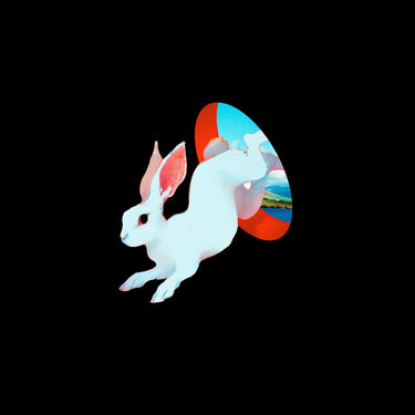 Ganser - Animal Hospital
