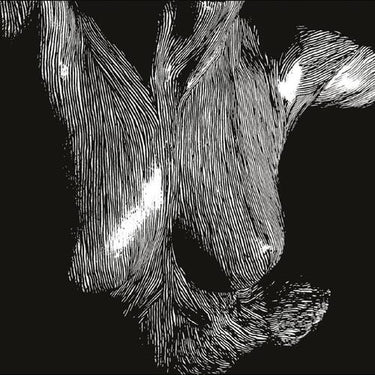 Oceansize - Self Preserved While The Bodies Float Up (15th Anniversary Edition) (NAD 2025)