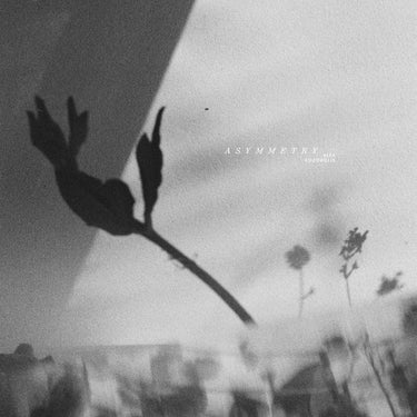 Alex Kozobolis - Asymmetry
