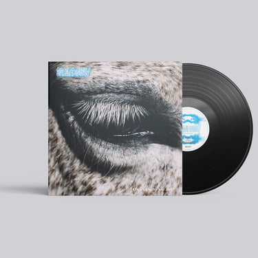 Smag På Dig Selv - This Is Why We Lost