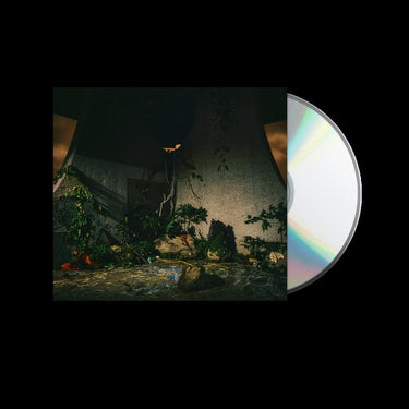 THE PLOT IN YOU - The Plot In You