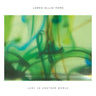 James Ellis Ford - Lost in Another World 