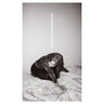 Julia Holter - Materia
