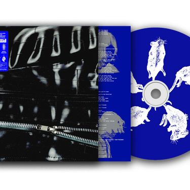 CD